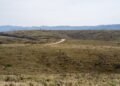 Campo argentino con horizonte abierto, símbolo del debate sobre extranjerización de tierras en Argentina.