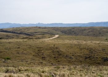 Campo argentino con horizonte abierto, símbolo del debate sobre extranjerización de tierras en Argentina.
