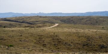 Campo argentino con horizonte abierto, símbolo del debate sobre extranjerización de tierras en Argentina.