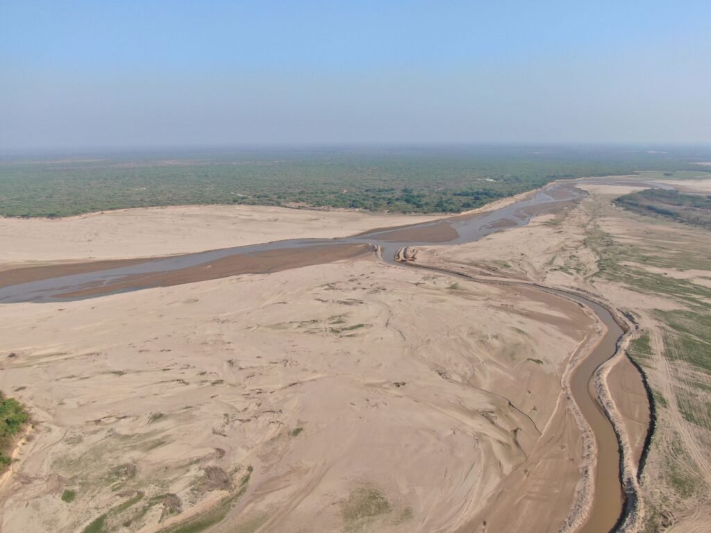 Paisaje deforestado en la región del Gran Chaco argentino, donde avanza el desmonte.