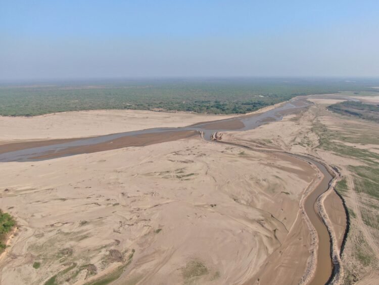 Paisaje deforestado en la región del Gran Chaco argentino, donde avanza el desmonte.