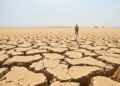 Tierra agrietada por la sequía extrema asociada al fenómeno de El Niño en América Latina.