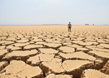 Tierra agrietada por la sequía extrema asociada al fenómeno de El Niño en América Latina.