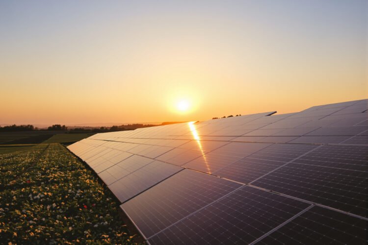 Paneles solares en campo europeo bajo cielo despejado, simbolizando la resiliencia de la energía solar durante la sequía.
