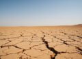 Tierra reseca y agrietada por la sequía extrema, consecuencia del calor intenso en España.