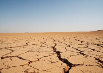 Tierra reseca y agrietada por la sequía extrema, consecuencia del calor intenso en España.