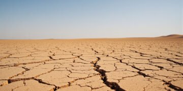 Tierra reseca y agrietada por la sequía extrema, consecuencia del calor intenso en España.