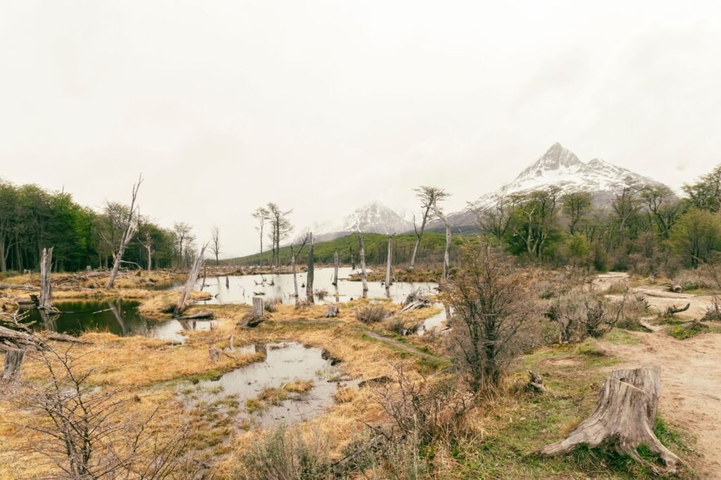 Paisaje árido de la Patagonia argentina donde opera Vaca Muerta, con camiones en el horizonte.