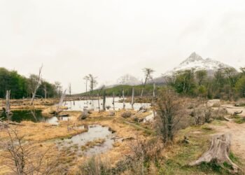 Paisaje árido de la Patagonia argentina donde opera Vaca Muerta, con camiones en el horizonte.