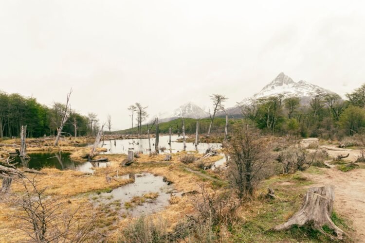 Paisaje árido de la Patagonia argentina donde opera Vaca Muerta, con camiones en el horizonte.