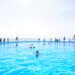 Delfines en instalaciones de parque acuático, representando el caso de los ocho ejemplares de Marineland acogidos en España.