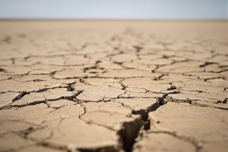 Tierra agrietada por sequía extrema bajo el sol intenso, imagen representativa del calor extremo proyectado.