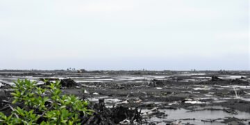 Paisaje de Hawaii tras el paso del huracán Lala, con inundaciones y deslaves visibles en la costa.