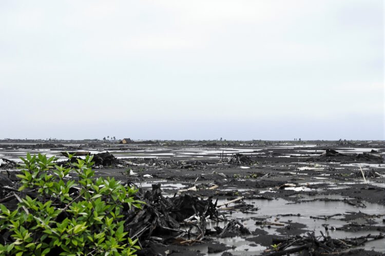 Paisaje de Hawaii tras el paso del huracán Lala, con inundaciones y deslaves visibles en la costa.