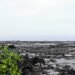 Paisaje de Hawaii tras el paso del huracán Lala, con inundaciones y deslaves visibles en la costa.