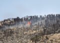Zona boscosa arrasada por un incendio forestal en la Sierra Calderona, Castellón.