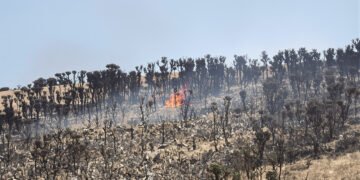 Zona boscosa arrasada por un incendio forestal en la Sierra Calderona, Castellón.