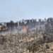 Zona boscosa arrasada por un incendio forestal en la Sierra Calderona, Castellón.
