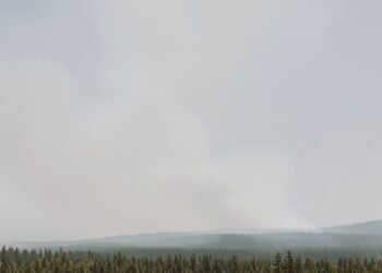 Humo denso de incendios forestales en bosques boreales de Canadá bajo cielo anaranjado.