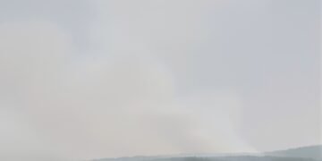 Humo denso de incendios forestales en bosques boreales de Canadá bajo cielo anaranjado.