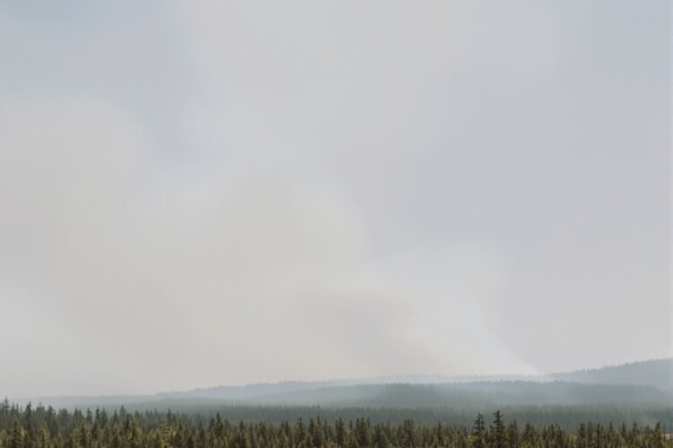 Humo denso de incendios forestales en bosques boreales de Canadá bajo cielo anaranjado.