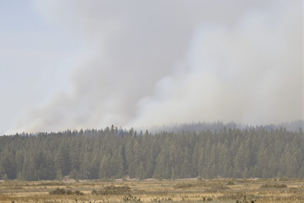 Columnas de humo de incendios forestales en bosques del noroeste de Estados Unidos.