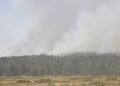Columnas de humo de incendios forestales en bosques del noroeste de Estados Unidos.