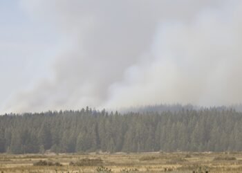 Columnas de humo de incendios forestales en bosques del noroeste de Estados Unidos.