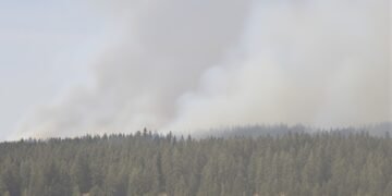 Columnas de humo de incendios forestales en bosques del noroeste de Estados Unidos.