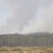Columnas de humo de incendios forestales en bosques del noroeste de Estados Unidos.