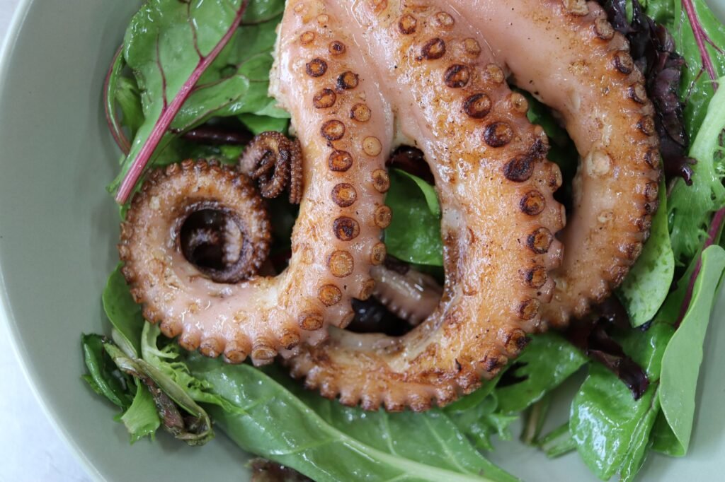 Pulpo mediterráneo en fondo rocoso marino, especie que invadió aguas británicas por cambio climático.
