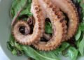 Pulpo mediterráneo en fondo rocoso marino, especie que invadió aguas británicas por cambio climático.