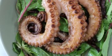 Pulpo mediterráneo en fondo rocoso marino, especie que invadió aguas británicas por cambio climático.