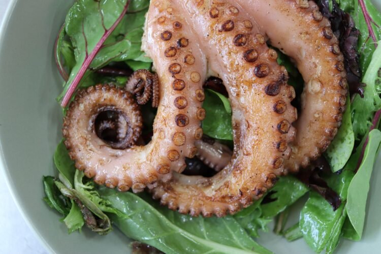 Pulpo mediterráneo en fondo rocoso marino, especie que invadió aguas británicas por cambio climático.