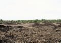 Zona deforestada en área protegida de Bolivia con bosque nativo talado.