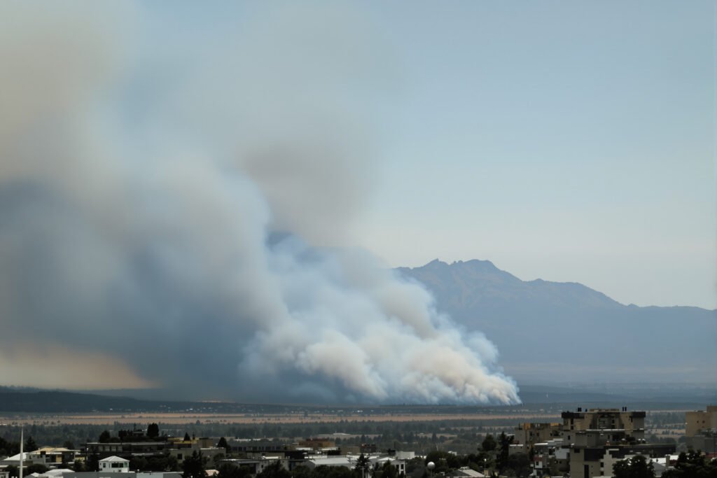Paisaje de bosque nativo argentino con humo de incendio forestal al fondo.