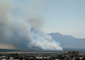 Paisaje de bosque nativo argentino con humo de incendio forestal al fondo.