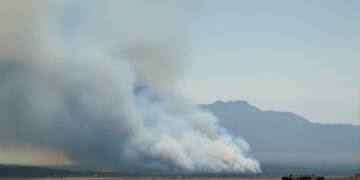Paisaje de bosque nativo argentino con humo de incendio forestal al fondo.