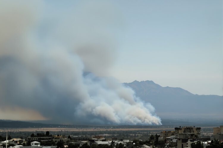 Paisaje de bosque nativo argentino con humo de incendio forestal al fondo.