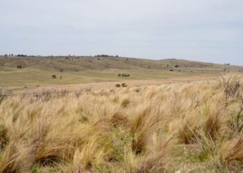 Comunidad indígena reunida en territorio ancestral en Argentina