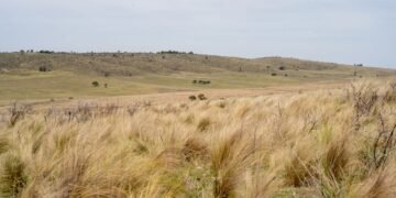 Comunidad indígena reunida en territorio ancestral en Argentina