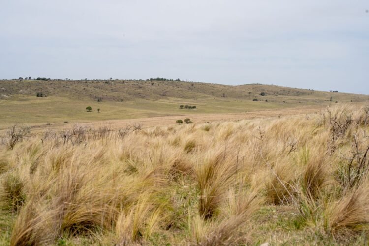 Comunidad indígena reunida en territorio ancestral en Argentina