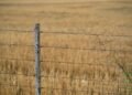 Campos agrícolas en zona fronteriza argentina, donde la ley de tierras regula la compra por extranjeros.
