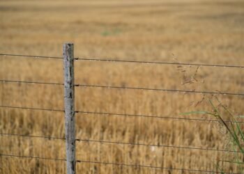 Campos agrícolas en zona fronteriza argentina, donde la ley de tierras regula la compra por extranjeros.