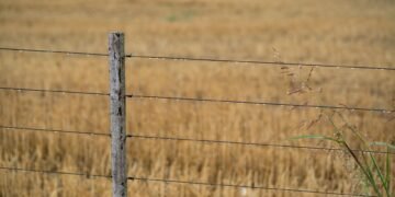 Campos agrícolas en zona fronteriza argentina, donde la ley de tierras regula la compra por extranjeros.