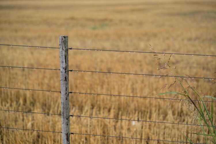 Campos agrícolas en zona fronteriza argentina, donde la ley de tierras regula la compra por extranjeros.