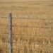 Campos agrícolas en zona fronteriza argentina, donde la ley de tierras regula la compra por extranjeros.