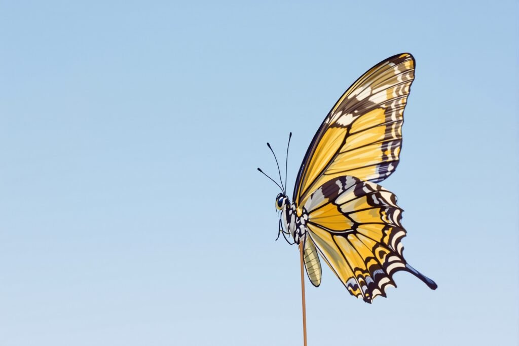 Mariposa de alas abiertas posada sobre flor silvestre, símbolo de las especies en desplazamiento por el cambio climático.