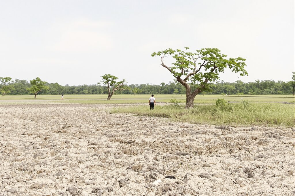 Bosque tropical de Belice con áreas deforestadas para agricultura intensiva.