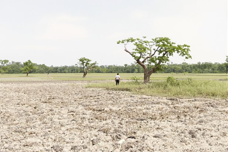 Bosque tropical de Belice con áreas deforestadas para agricultura intensiva.